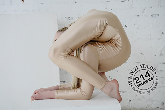 Extreme spine