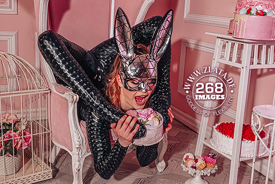Easter bunny – Preview