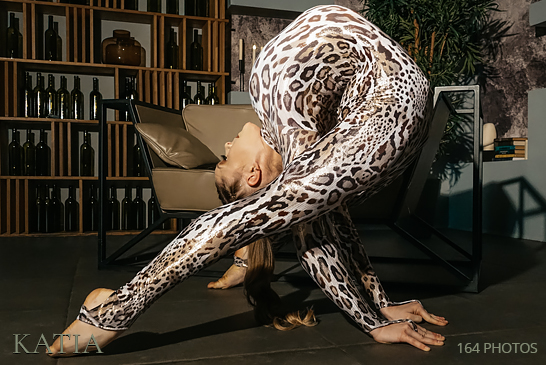 Cat flexibility