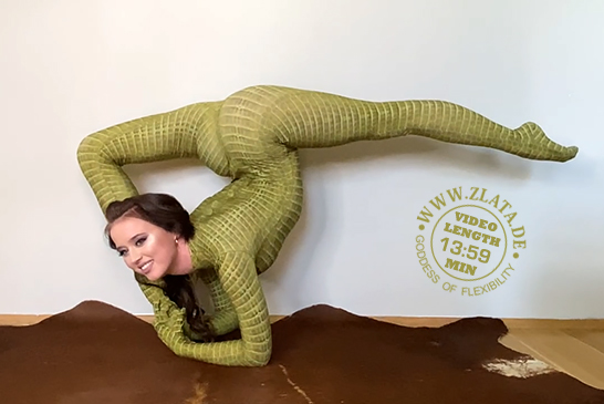 REPTILE SKIN